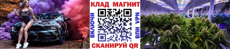 Псилоцибиновые грибы Феодосия