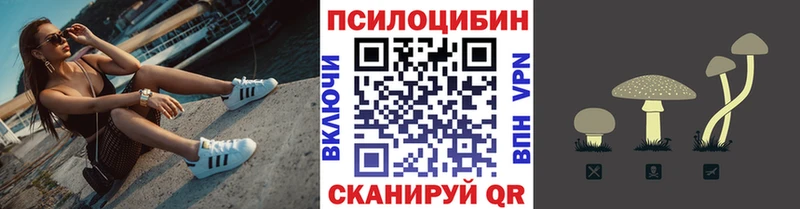 Купить закладки Феодосия Галлюциногенные грибы мицелий